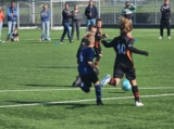 S.K.N.W.K. JO8-1 - M.Z.C. '11 JO8-3 (competitie) 2024-2025 (4e fase) (25/109)